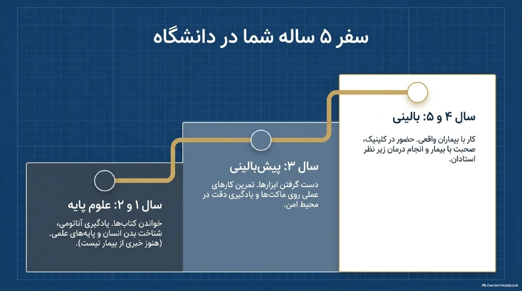مراحل تحصیل دندانپزشکی در انگلیس